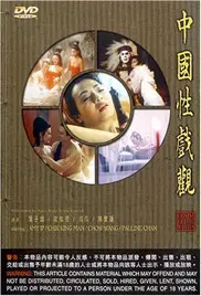 揭秘！《中国性戏大观》：一部挑战禁忌、探索人性的争议之作